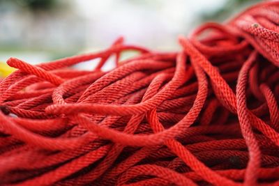 Close-up of red rope