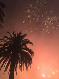 Low angle view of silhouette palm tree against sky at night