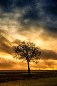 Bare tree on field against sky at sunset