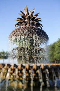 Pineapple fountain in charleston, south carolina