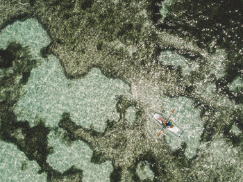 High angle view of tree by sea