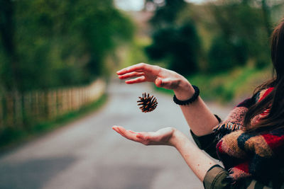 Close-up of woman hand holding tree