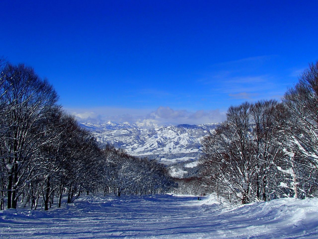 snow, winter, cold temperature, season, tranquil scene, weather, beauty in nature, scenics, tranquility, tree, blue, clear sky, frozen, nature, covering, landscape, sky, non-urban scene, copy space, snowcapped mountain