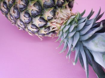 Close-up of pineapple on table