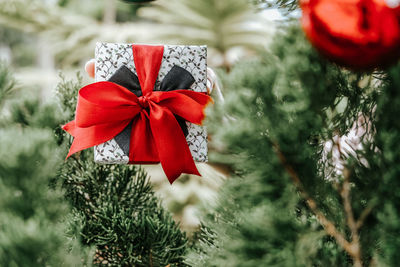 Close-up of christmas decorations on tree