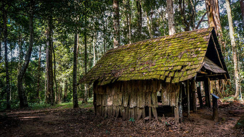 Abandoned built structure in forest