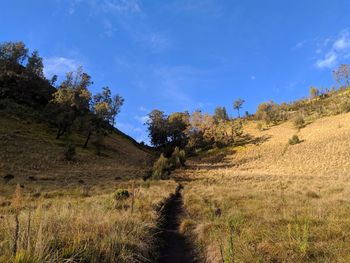 Scenic view of landscape against blue sky