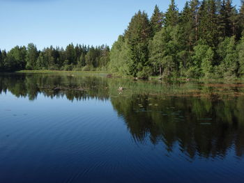 Scenic view of lake in forest against sky