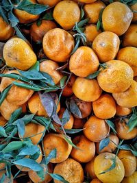 Full frame shot of orange fruits in market