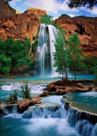 Scenic view of waterfall in forest