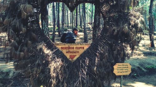 Man photographing on tree trunk