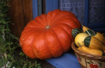 Close-up of pumpkin and squashes on window sill