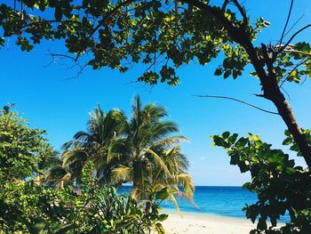 Scenic view of sea against clear blue sky