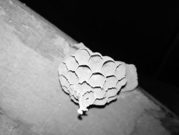 High angle view of coins on table