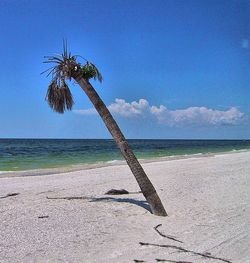 Scenic view of sea against blue sky