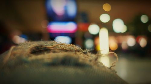 Close-up of cat in illuminated room