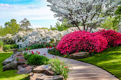 View of flowering plants in garden