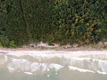 High angle view of trees by sea