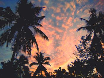 Low angle view of silhouette palm trees against romantic sky