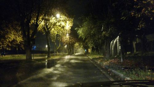 Road passing through trees at night