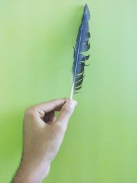 Cropped image of hand holding face over white background