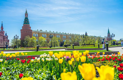 View of flowering plants against cloudy sky