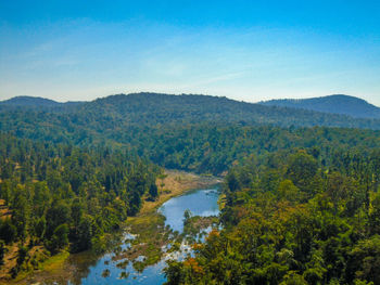 Scenic view of river amidst trees in forest against sky