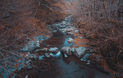 High angle view of stream amidst trees in forest