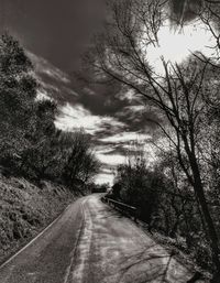 Road amidst trees against sky