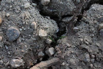 Full frame shot of rocks