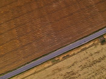 High angle view of wood on field