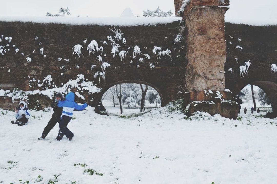 snow, winter, cold temperature, one person, tree, full length, real people, day, nature, lifestyles, leisure activity, plant, warm clothing, land, field, child, clothing, white color, outdoors, extreme weather