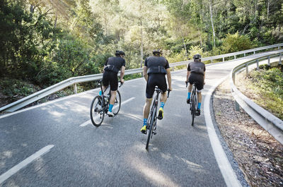 Rear view of male friends cycling on road
