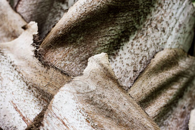 Full frame shot of stone wall