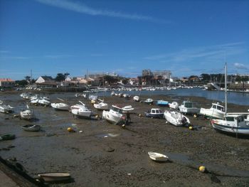 Boats in harbor