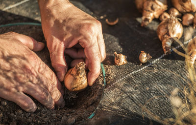 Close-up of man preparing food