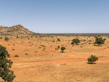 Scenic view of desert against clear sky