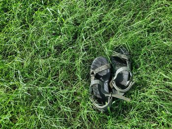 High angle view of shoes on field