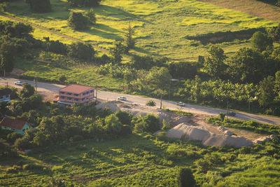 High angle view of agricultural field in forest