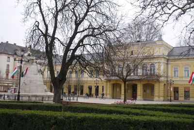 Bare trees against buildings