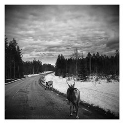 View of road against cloudy sky