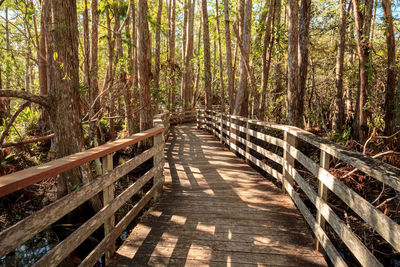 Wooden footbridge amidst trees in forest