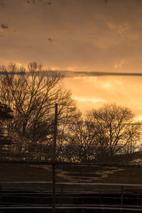 Bare trees against sky during sunset