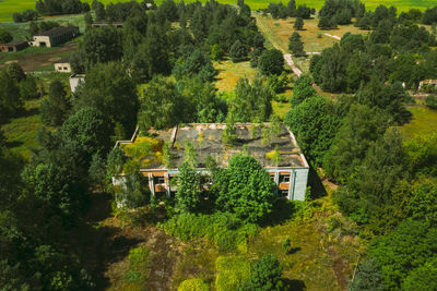 High angle view of trees and houses