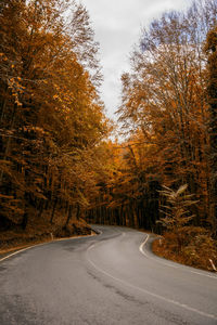 Road amidst trees in forest against sky during autumn