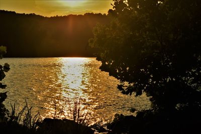 Silhouette trees by lake against sky during sunset