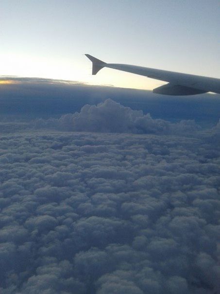 airplane, aircraft wing, air vehicle, flying, transportation, mode of transport, aerial view, part of, sky, mid-air, cropped, scenics, travel, landscape, journey, beauty in nature, public transportation, nature, airplane wing, on the move