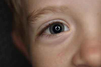 Close-up portrait of boys