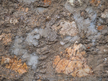 Full frame shot of stone wall