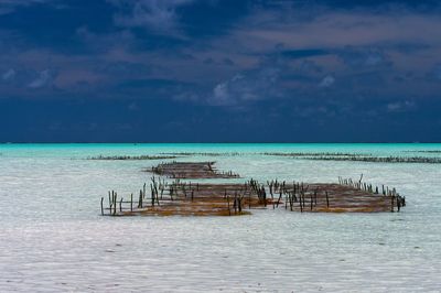 Scenic view of beach against blue sky